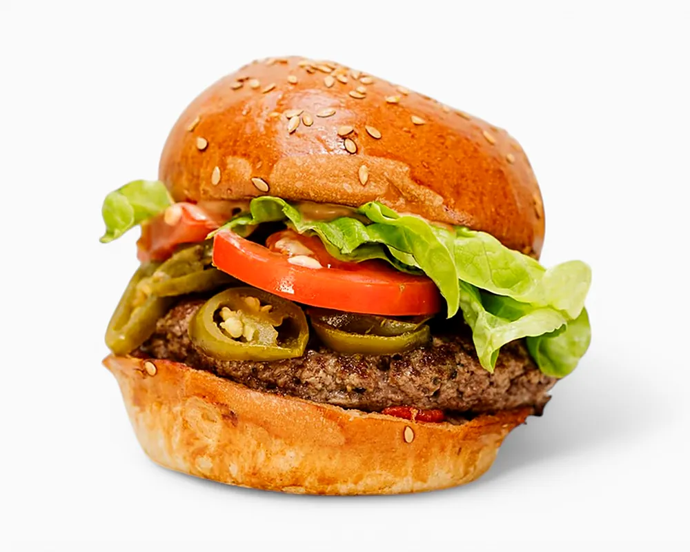 Mexico style burger